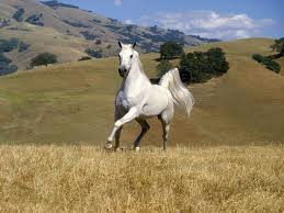 images (7)