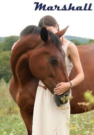 images (13)